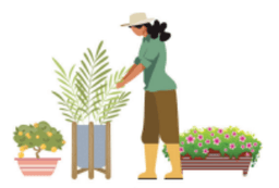 Gardening Area